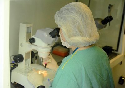 Clínica Artur Dzik
